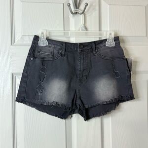 Gypsy Warrior |Dark Gray |Jean Shorts | Size 3
